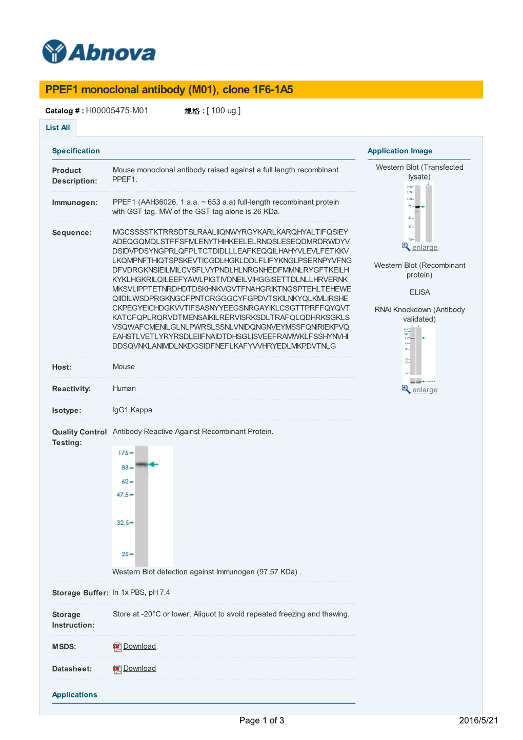 PPEF1 Monoclonal Antibody (M01), Clone 1F6-1A5