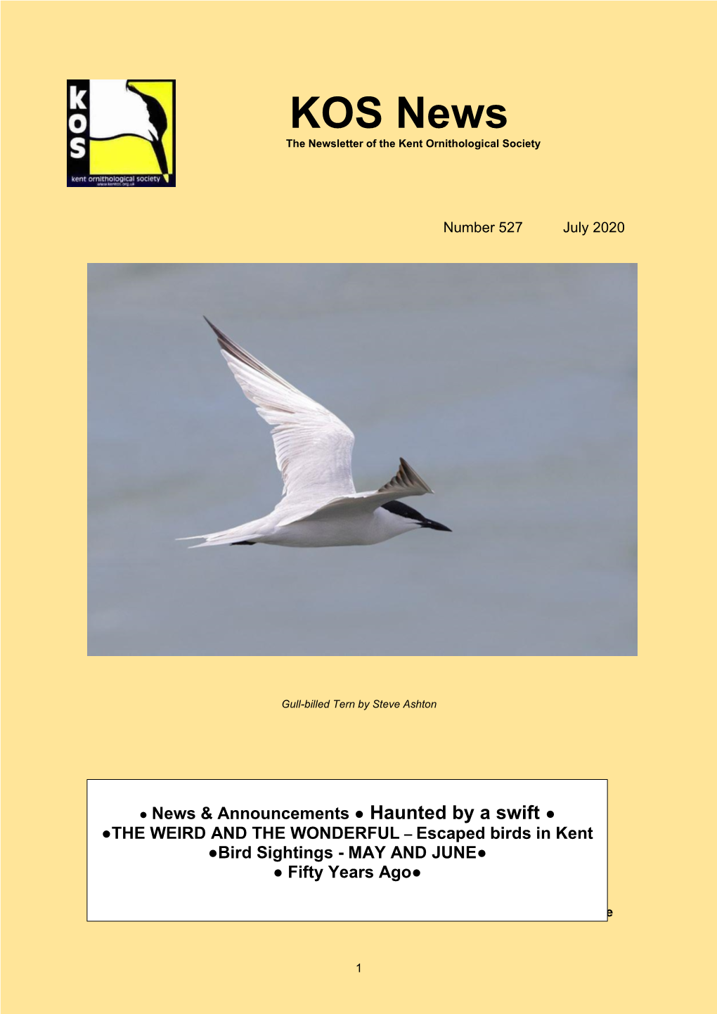 KOS News the Newsletter of the Kent Ornithological Society