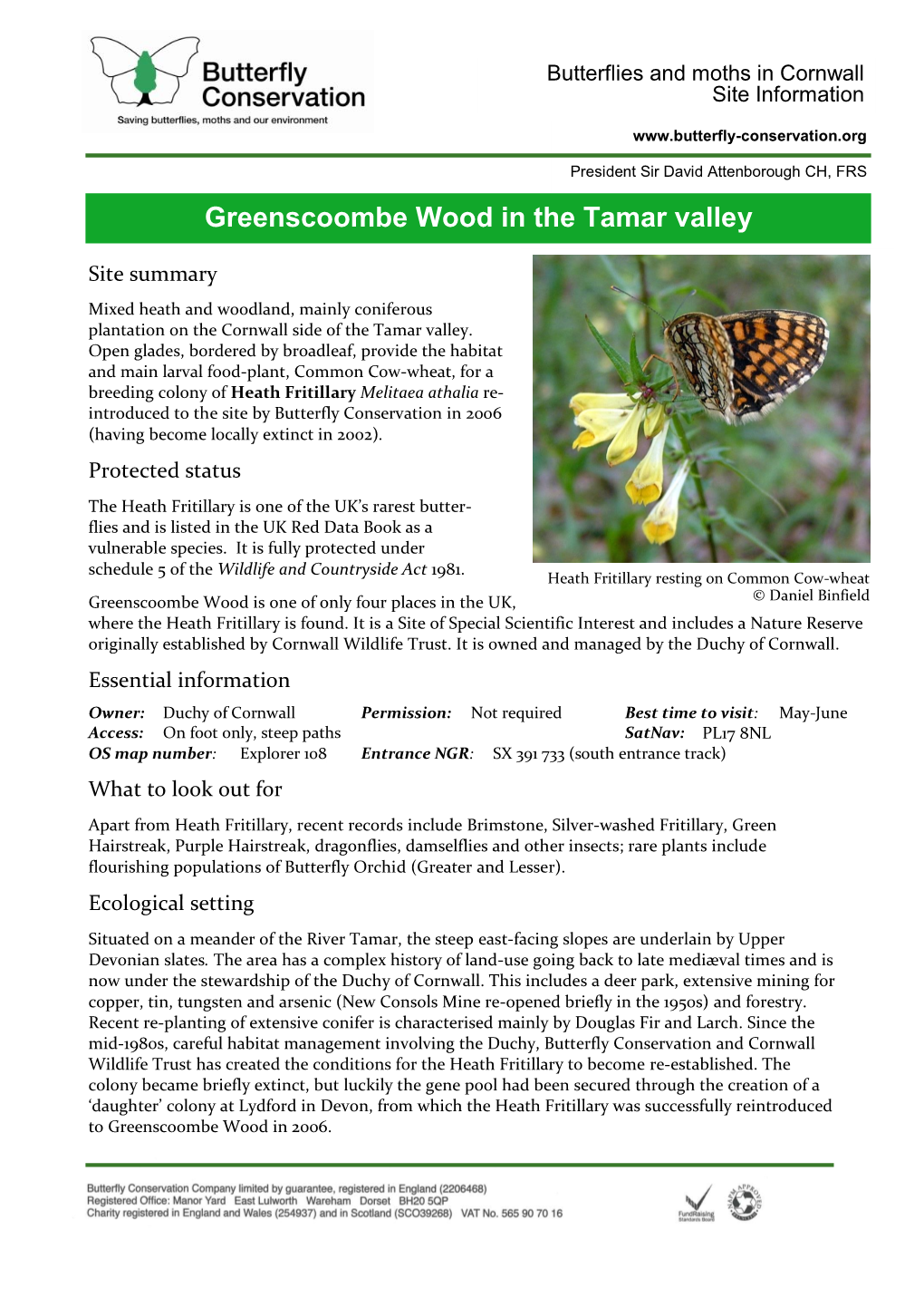 Greenscoombe Wood in the Tamar Valley