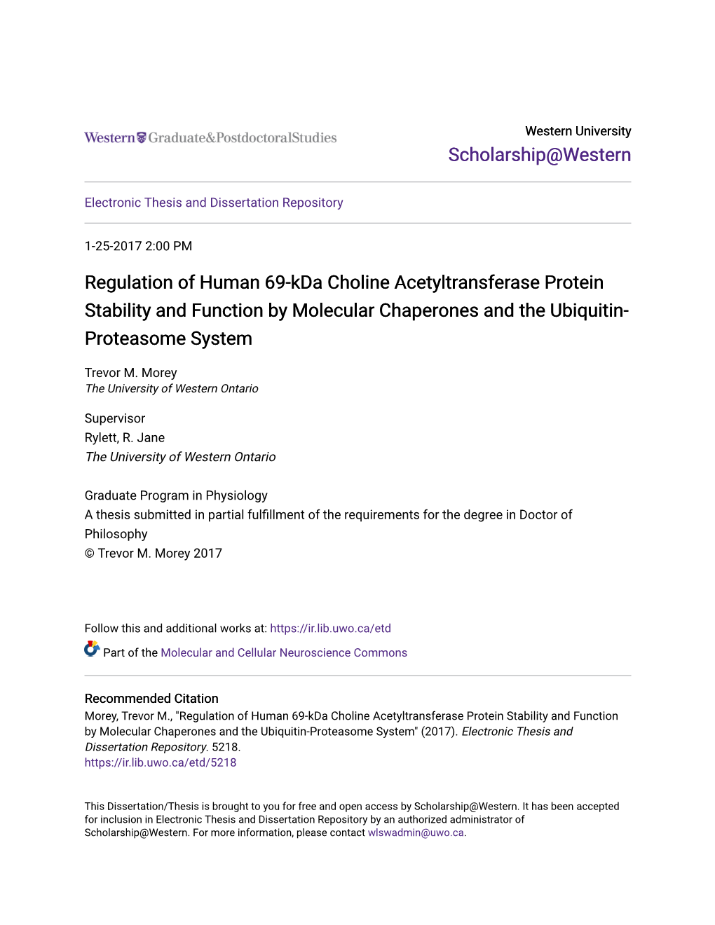 Regulation of Human 69-Kda Choline Acetyltransferase Protein Stability and Function by Molecular Chaperones and the Ubiquitin- Proteasome System