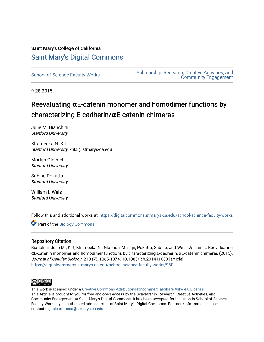 Reevaluating Î±E-Catenin Monomer and Homodimer Functions By