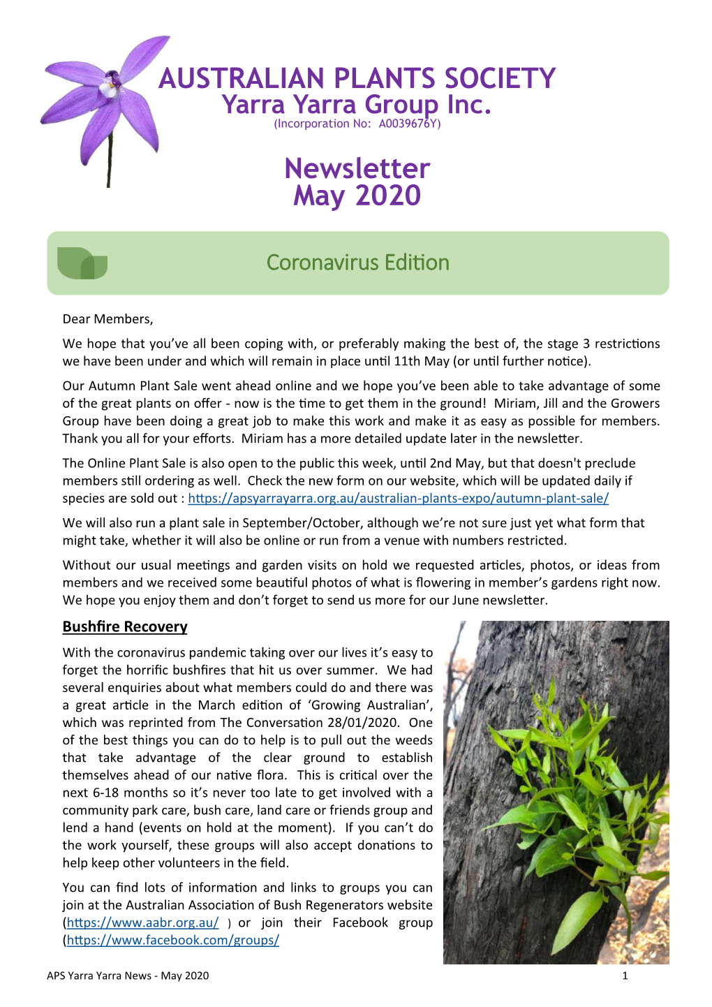 AUSTRALIAN PLANTS SOCIETY Newsletter May 2020