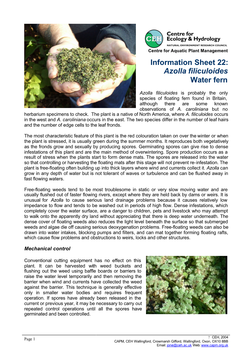 Information Sheet 22: Azolla Filiculoides Water Fern