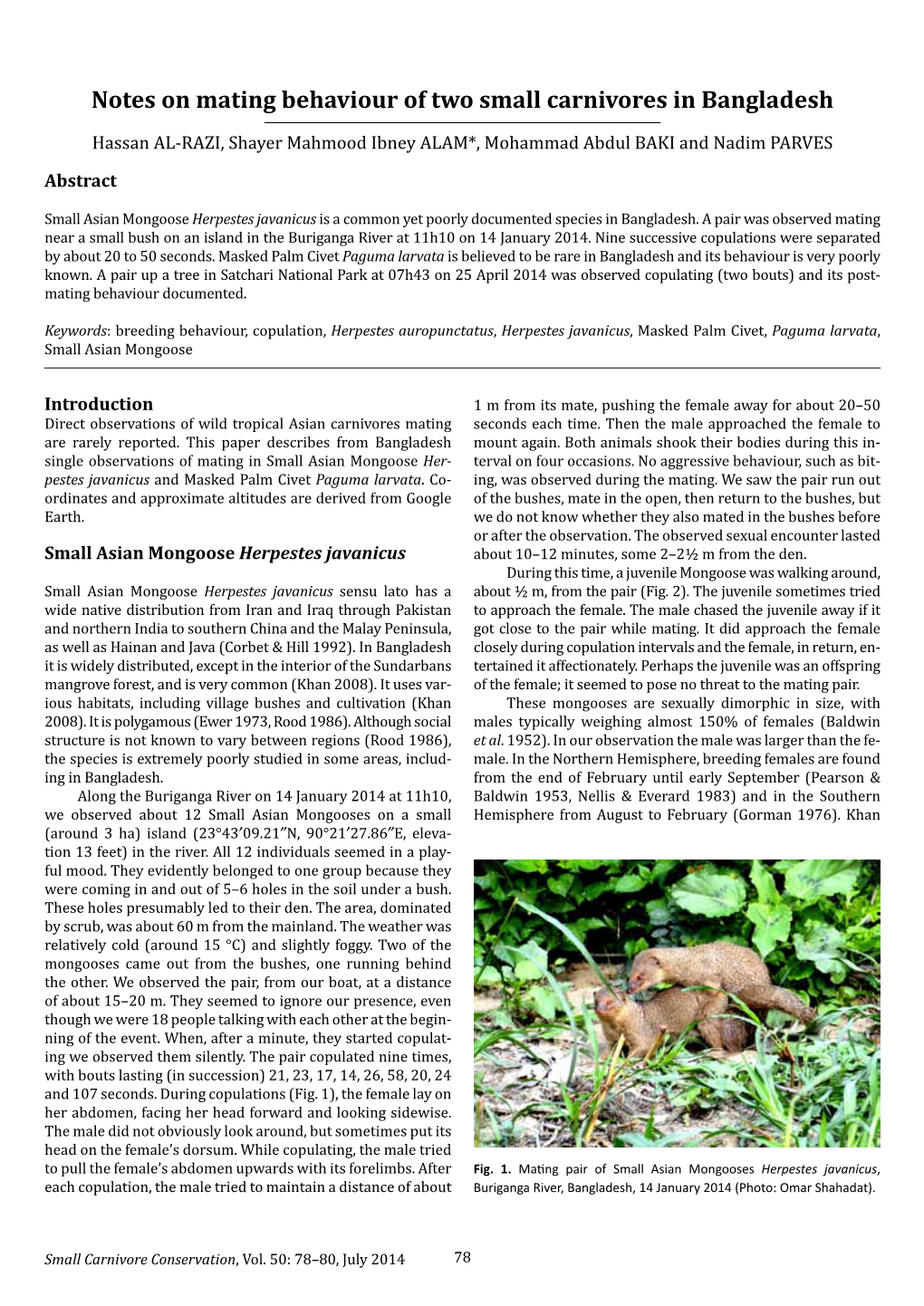 Notes on Mating Behaviour of Two Small Carnivores in Bangladesh