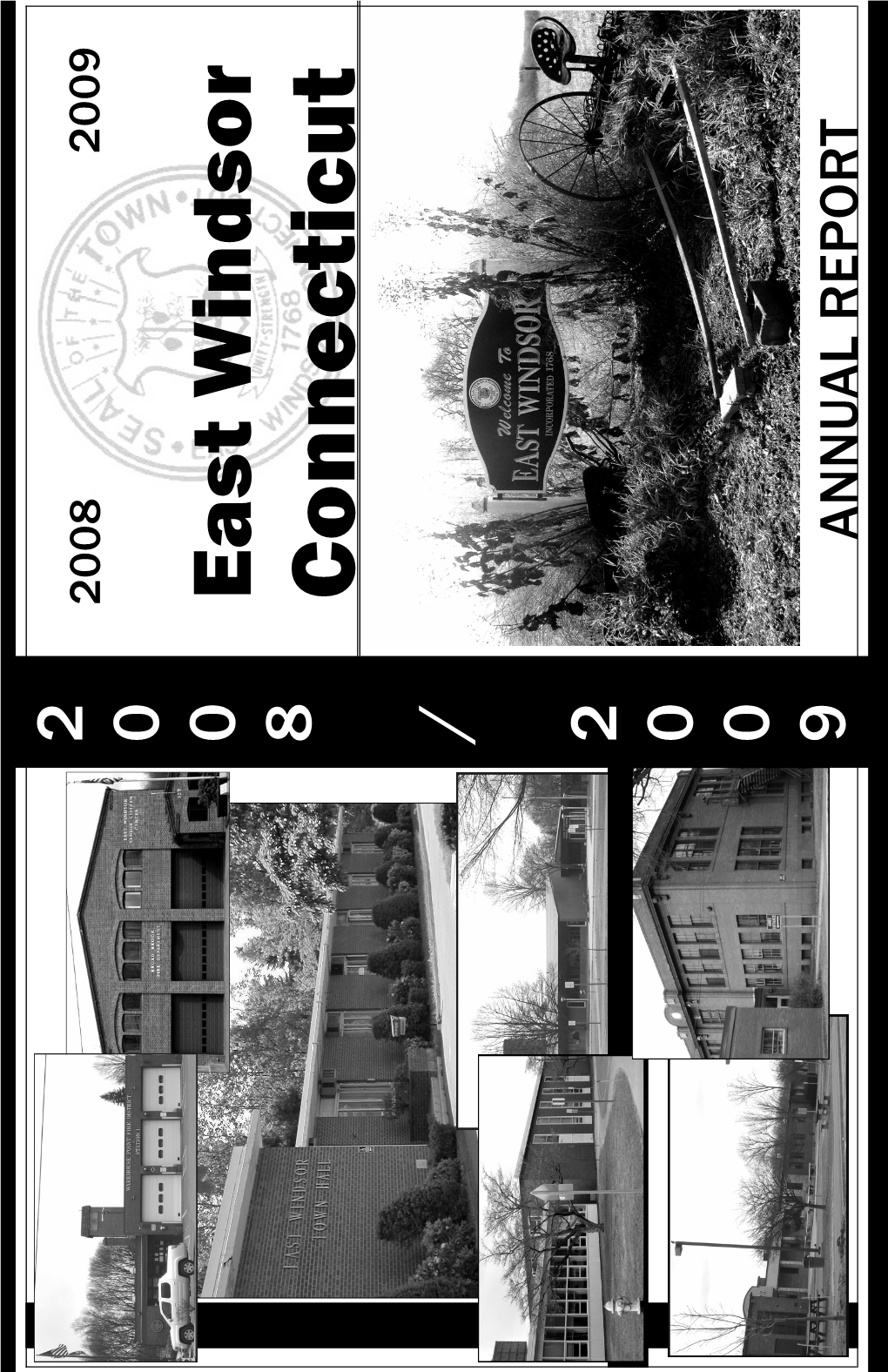 2008-2009 Town Report