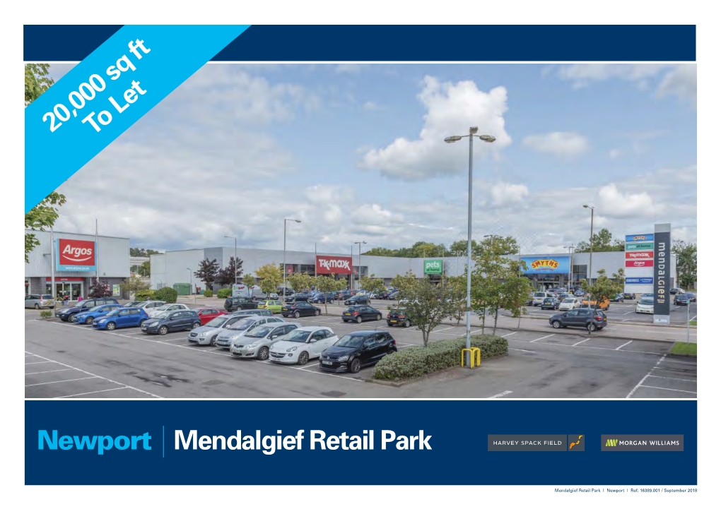 Newport Mendalgief Retail Park 20,000 Sq Ft To