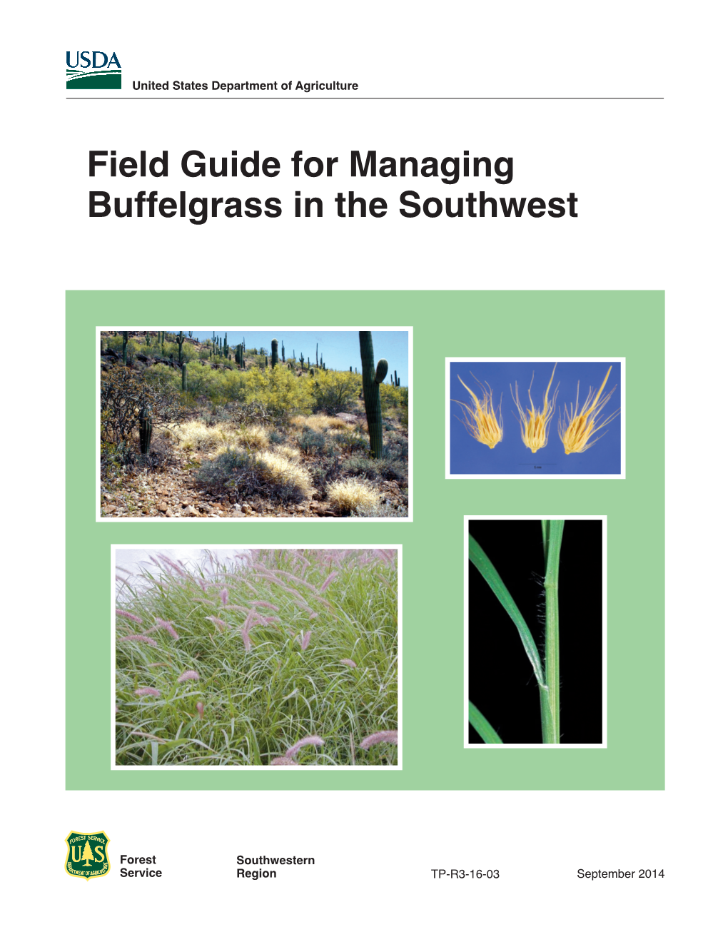 Managing Buffelgrass in the Southwest