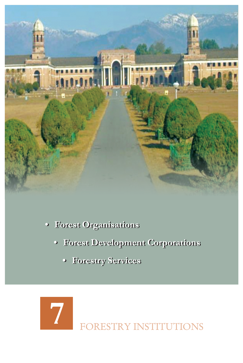 Forestry Institutions.Pdf