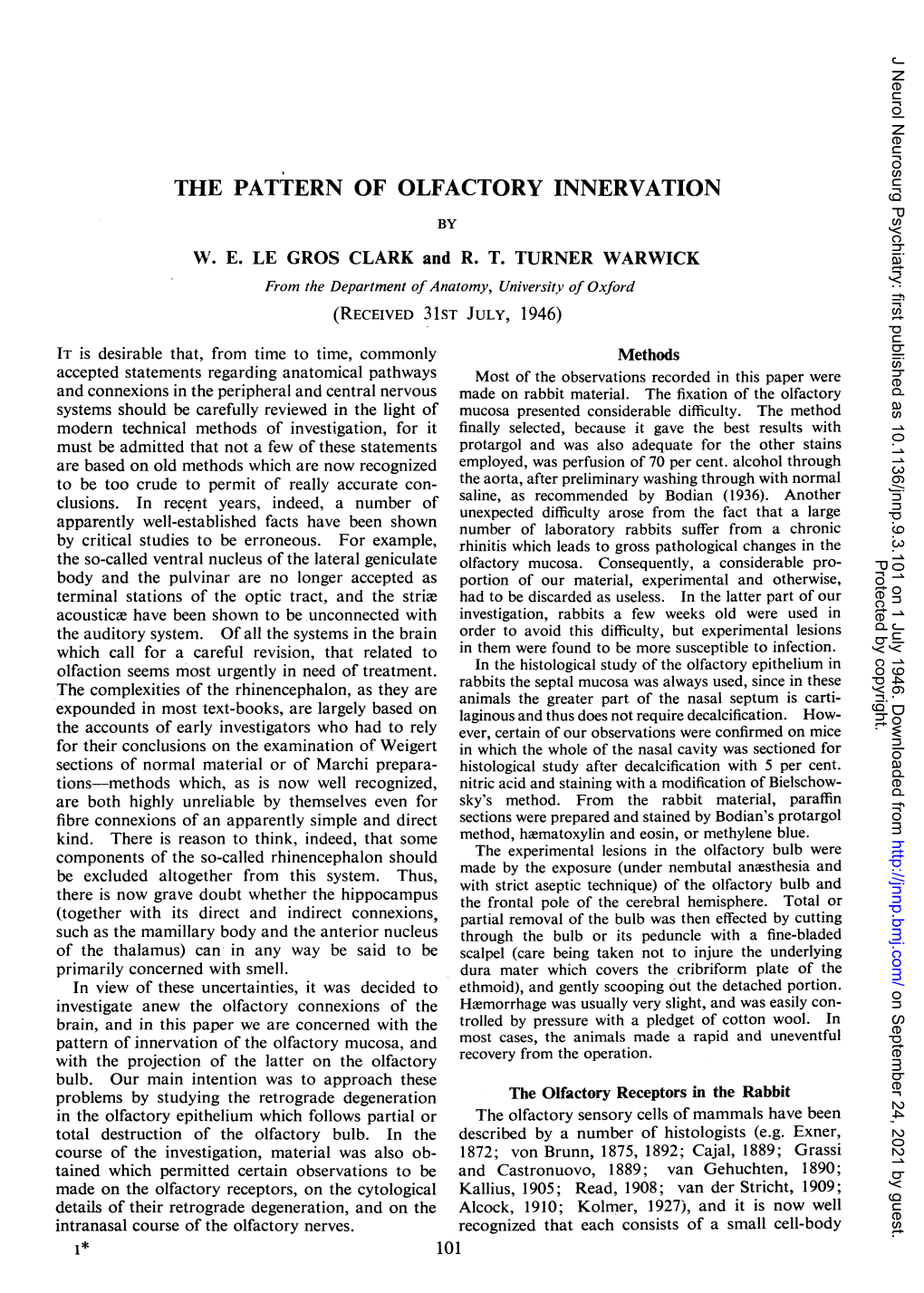 The Pattern of Olfactory Innervation by W