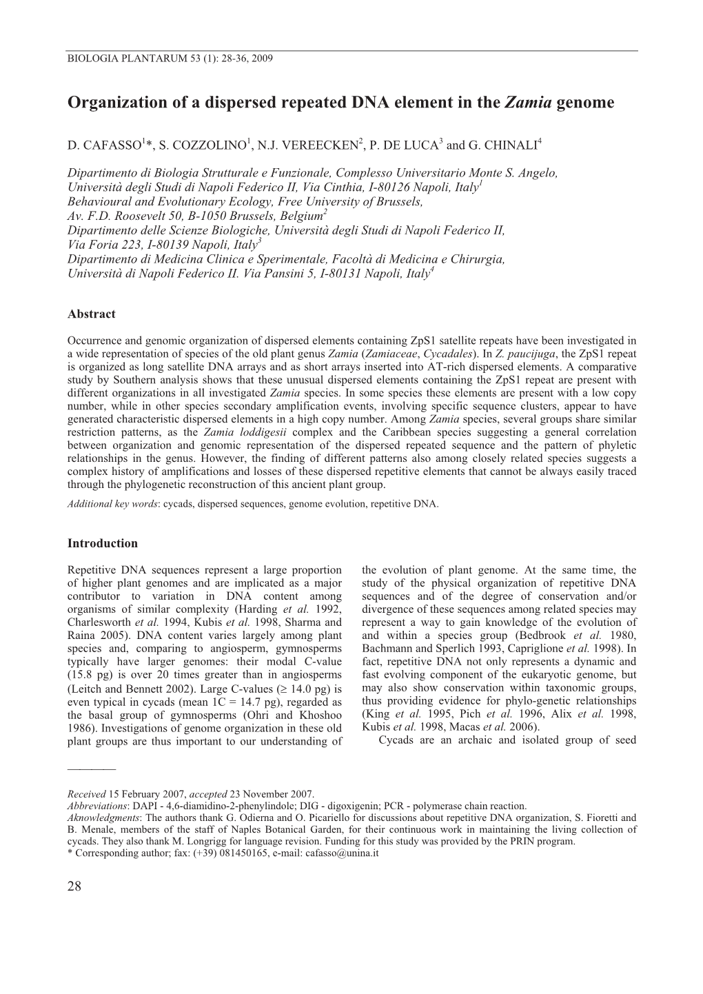 Organization of a Dispersed Repeated DNA Element in the Zamia Genome