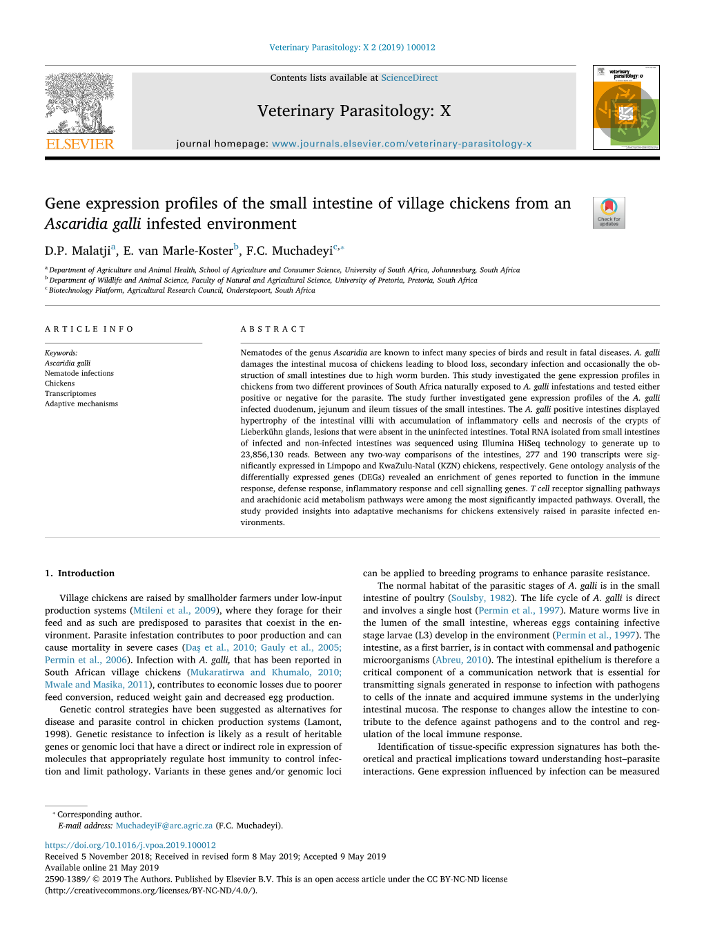 Gene Expression Profiles of the Small Intestine of Village Chickens from an Ascaridia Galli Infested Environment