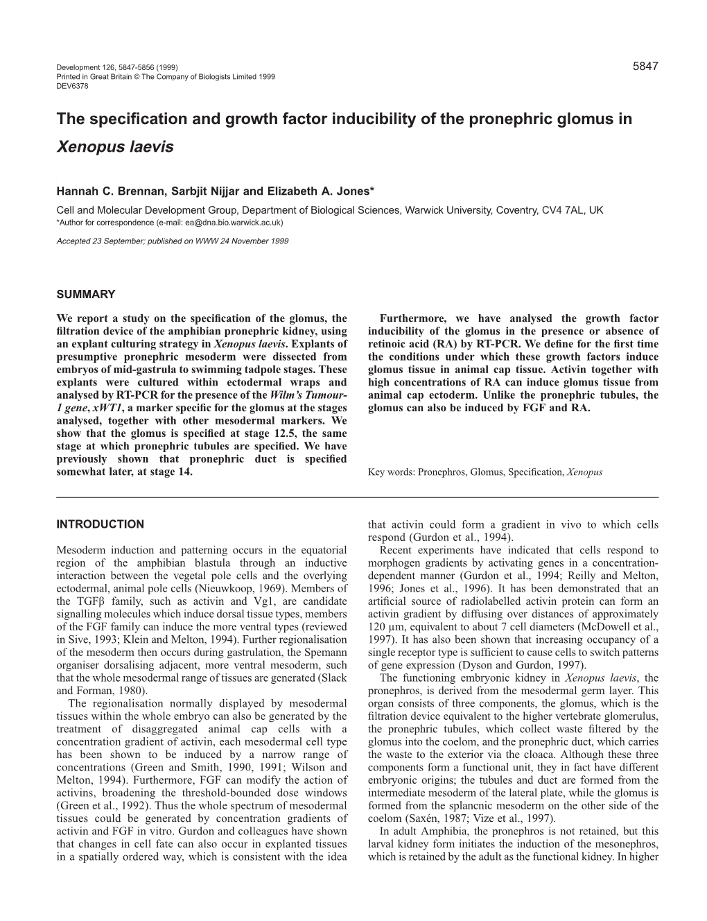 Glomus Specification and Induction in Xenopus