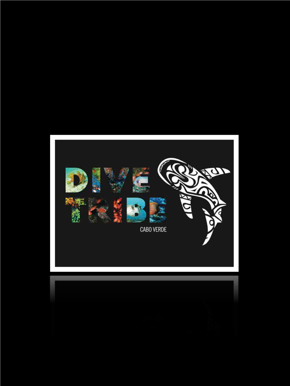 Presentation-Dive-Tr