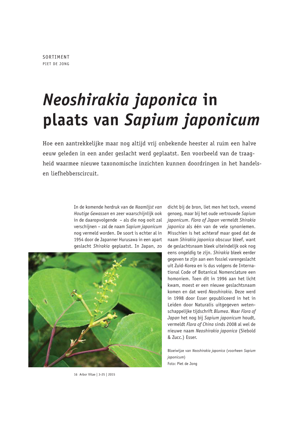Neoshirakia Japonica in Plaats Van Sapium Japonicum