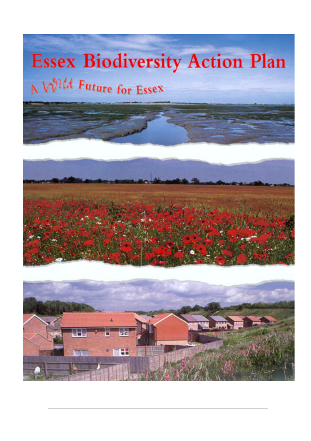 The Essex Biodiversity Action Plan
