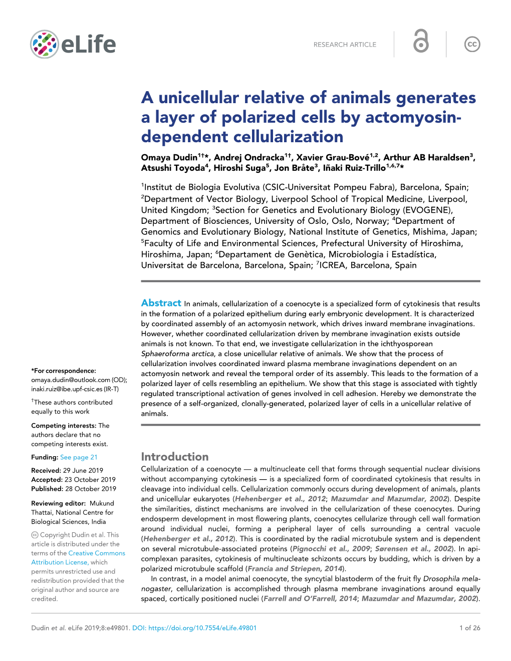 A Unicellular Relative of Animals Generates a Layer of Polarized Cells