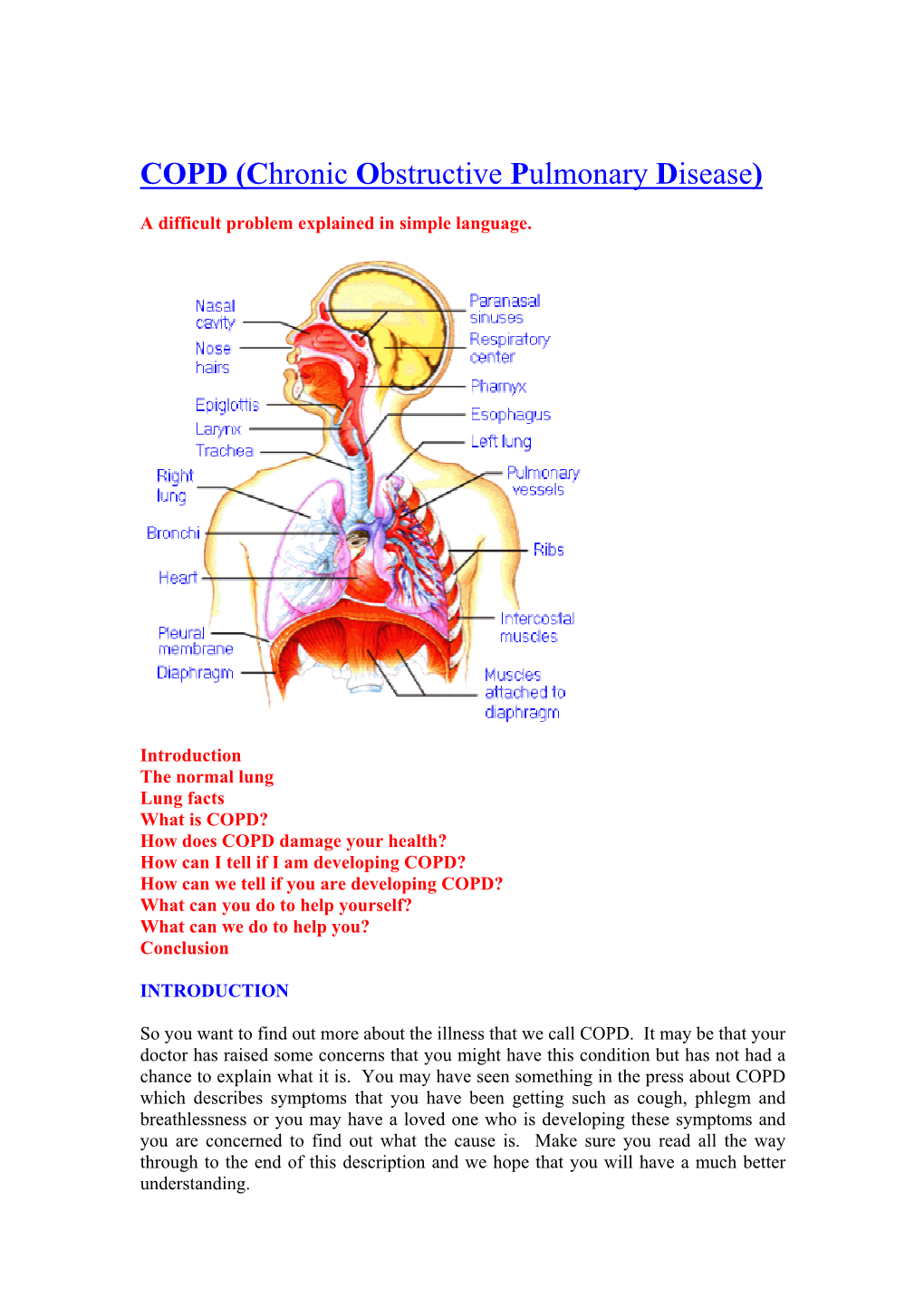 COPD (Chronic Obstructive Pulmonary Disease)