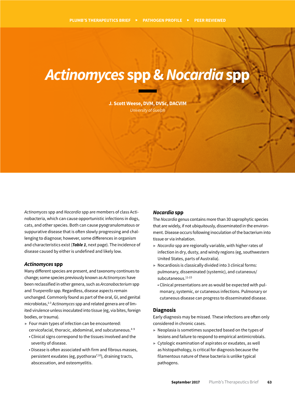 Actinomycesspp & Nocardiaspp