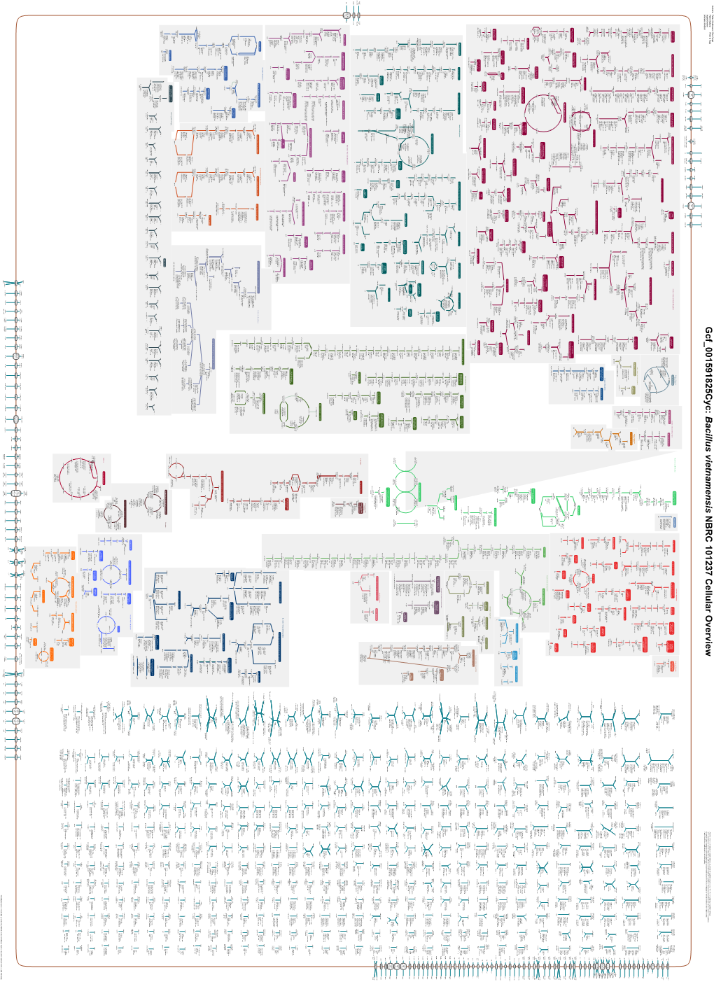 Generate Metabolic Map Poster