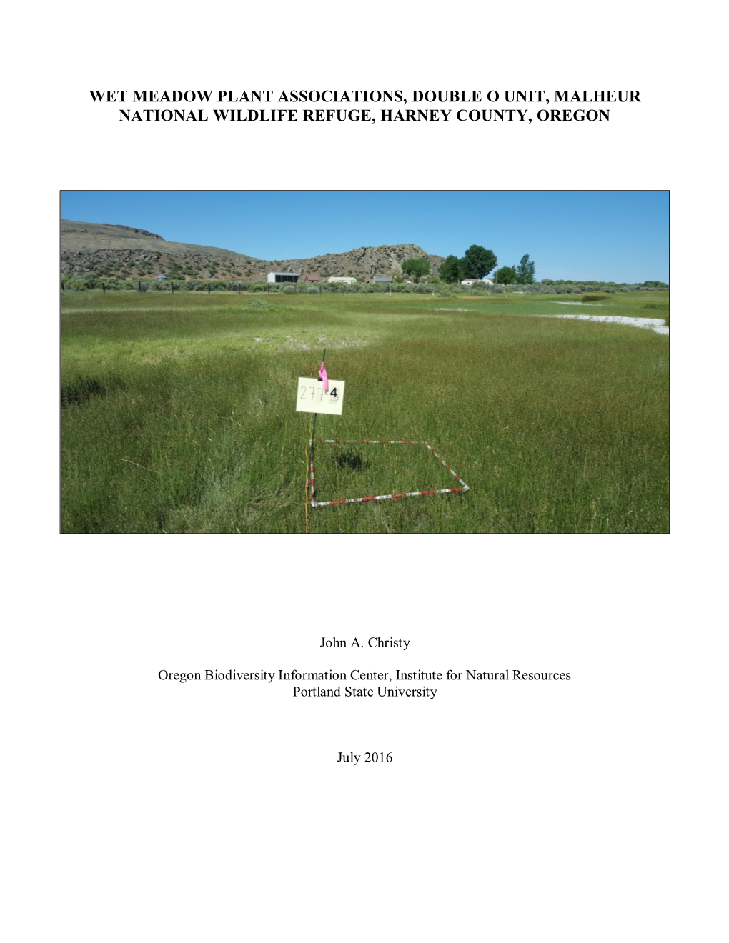 Wet Meadow Plant Associations, Malheur National Wildlife Refuge, Harney County, Oregon