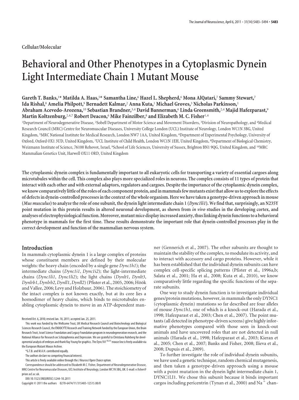 Behavioral and Other Phenotypes in a Cytoplasmic Dynein Light Intermediate Chain 1 Mutant Mouse