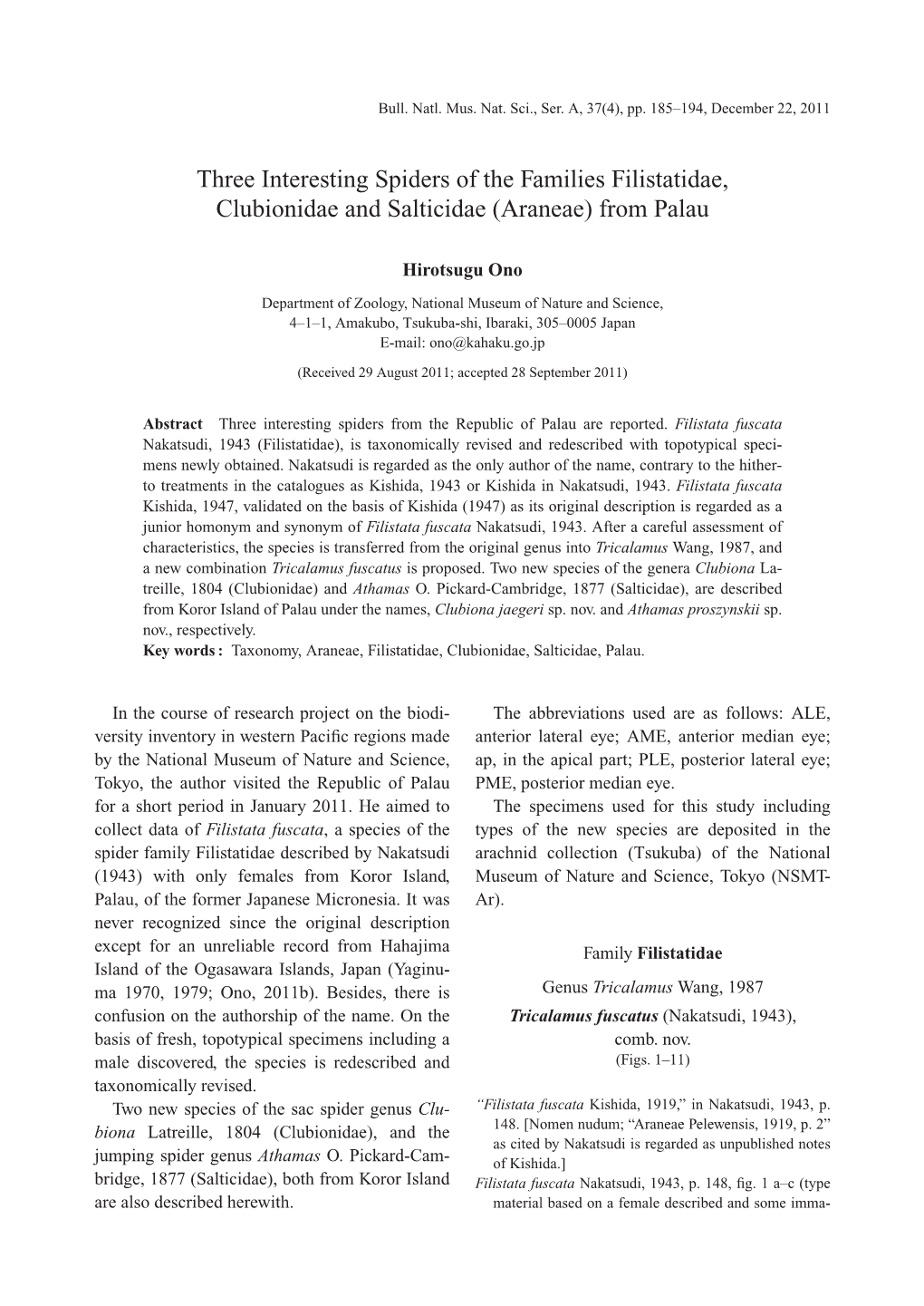 Three Interesting Spiders of the Families Filistatidae, Clubionidae and Salticidae (Araneae) from Palau