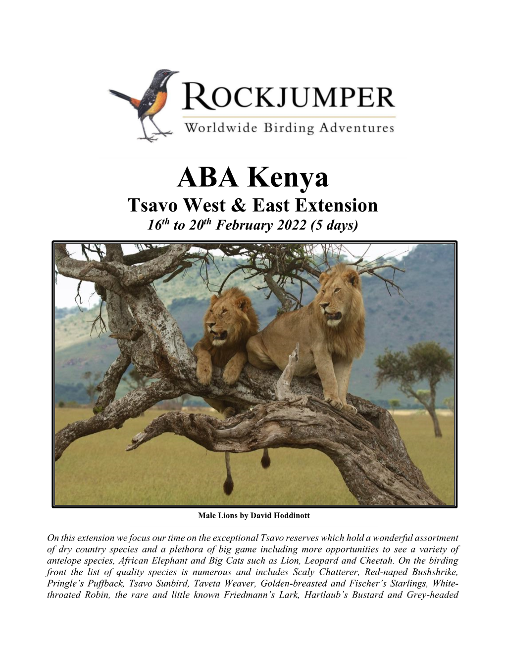 ABA Kenya Tsavo West & East Extension 16Th to 20Th February 2022 (5 Days)