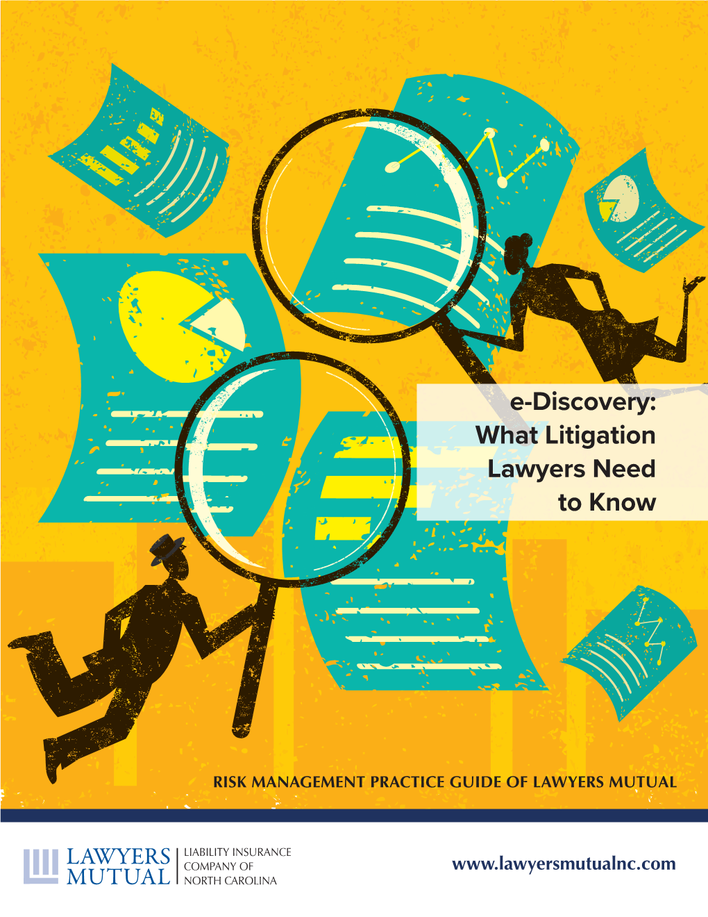 E-Discovery: What Litigation Lawyers Need to Know