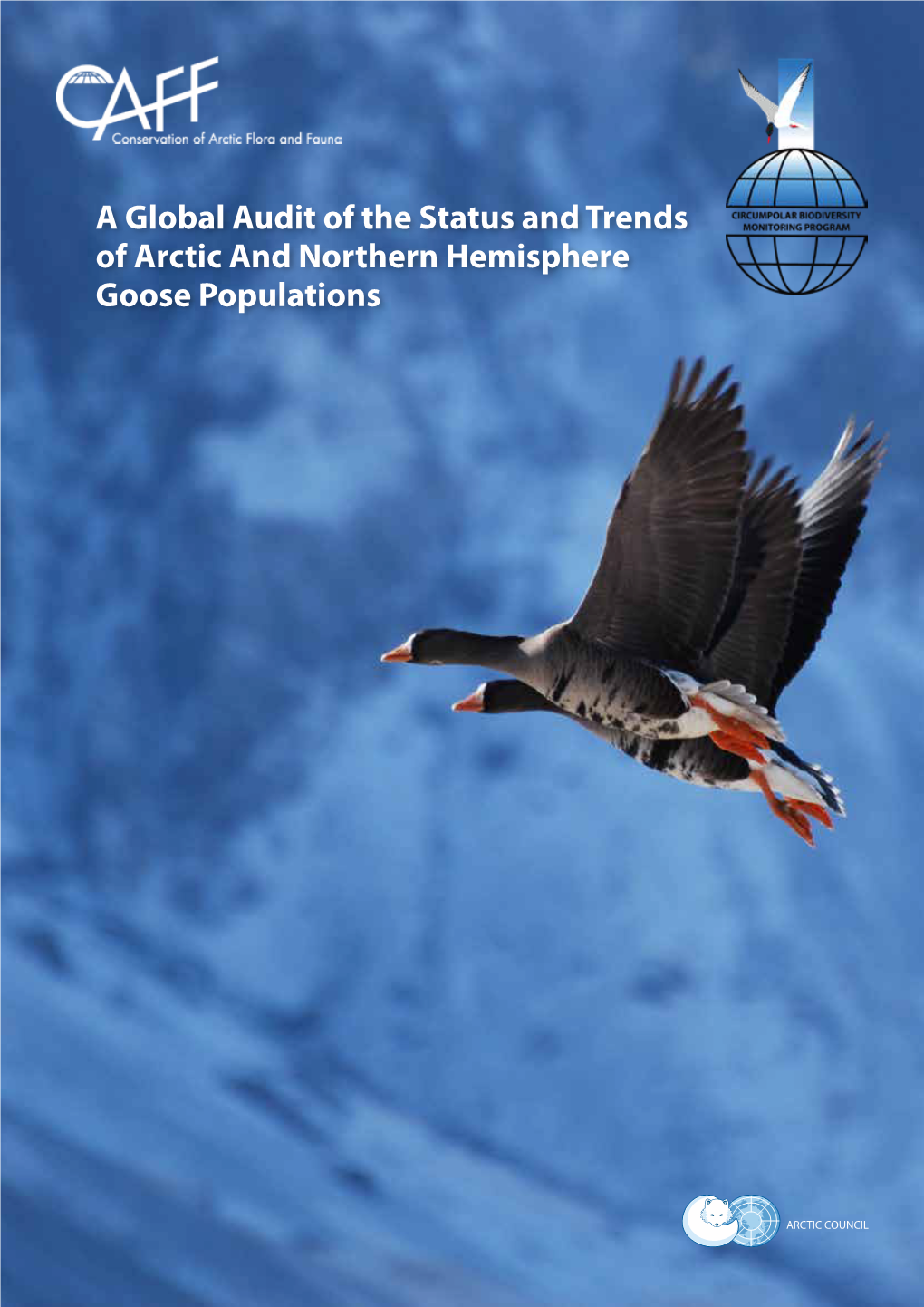 A Global Audit of the Status and Trends of Arctic and Northern Hemisphere Goose Populations