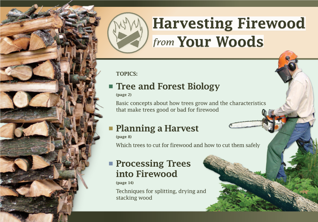 Harvesting Firewood from Your Woods