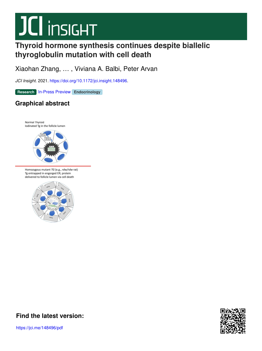 Thyroid Hormone Synthesis Continues Despite Biallelic Thyroglobulin Mutation with Cell Death