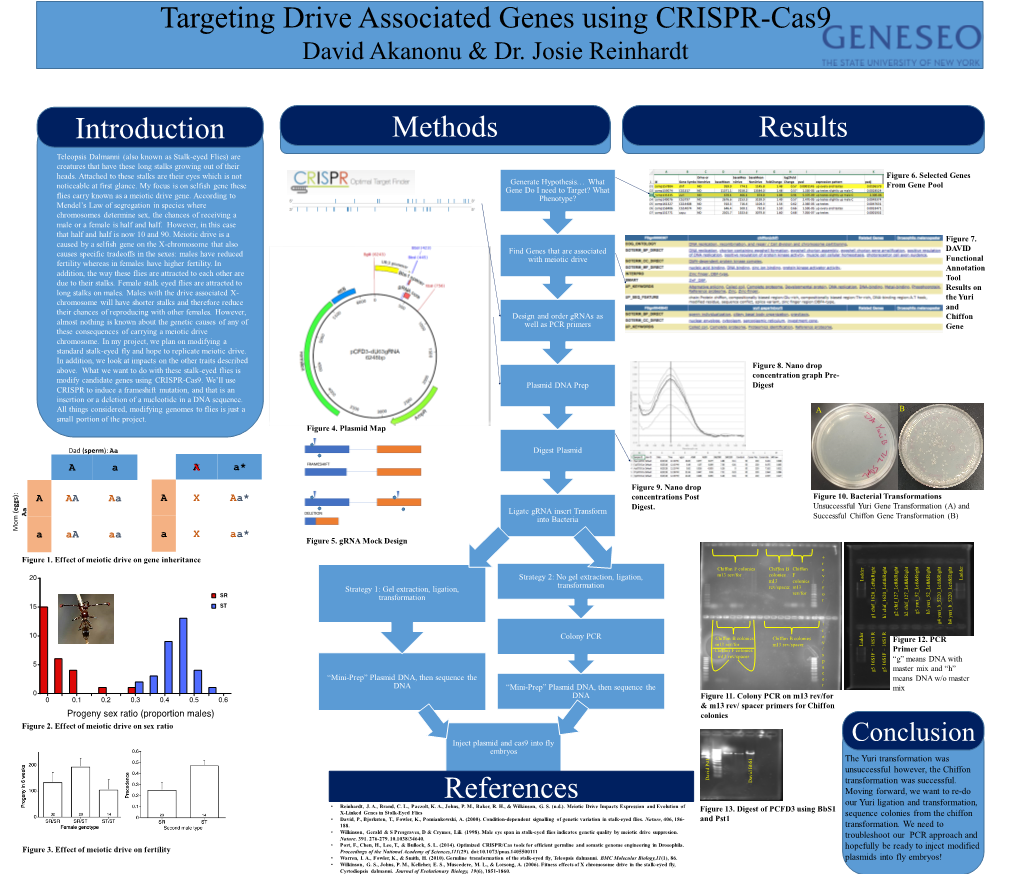 Meiotic Drive Impacts Expression and Evolution of X-Linked Genes In