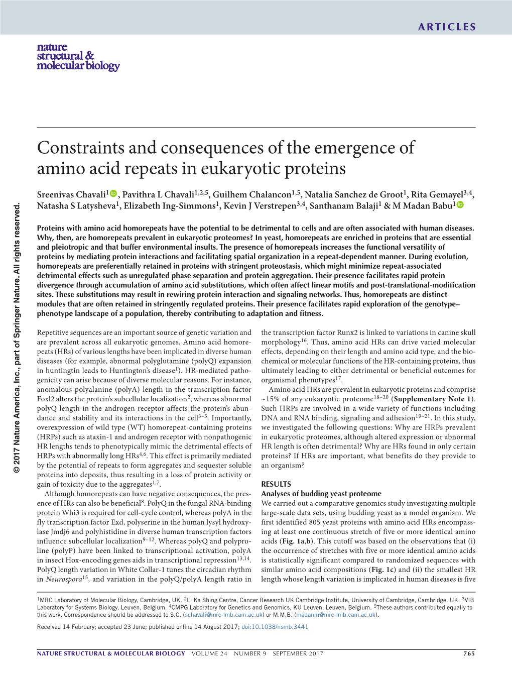 Constraints and Consequences of the Emergence of Amino Acid Repeats in Eukaryotic Proteins