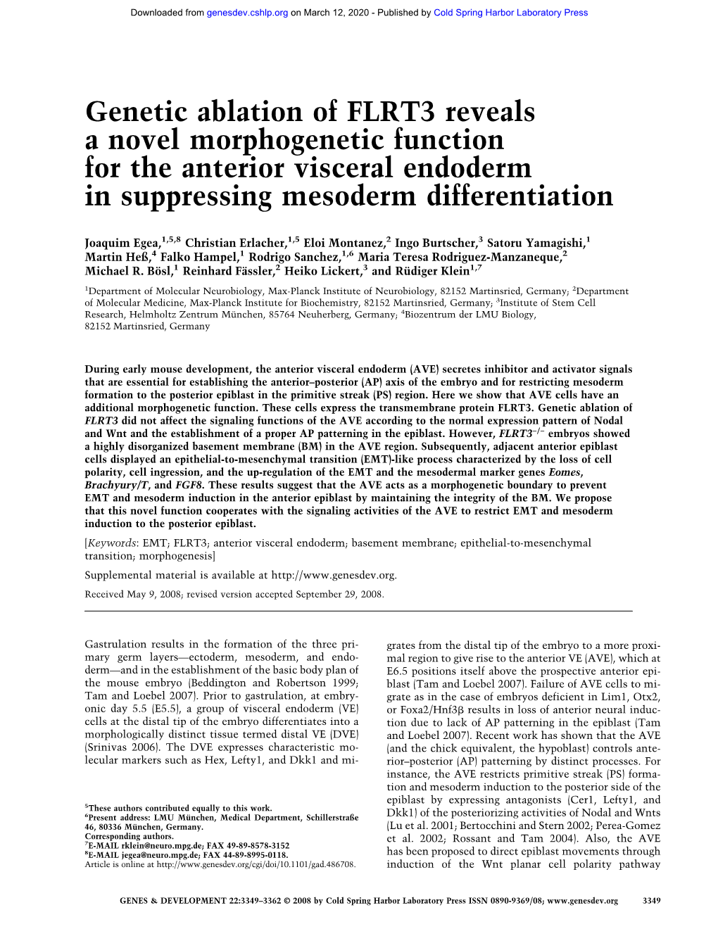 Genetic Ablation of FLRT3 Reveals a Novel Morphogenetic Function for the Anterior Visceral Endoderm in Suppressing Mesoderm Differentiation