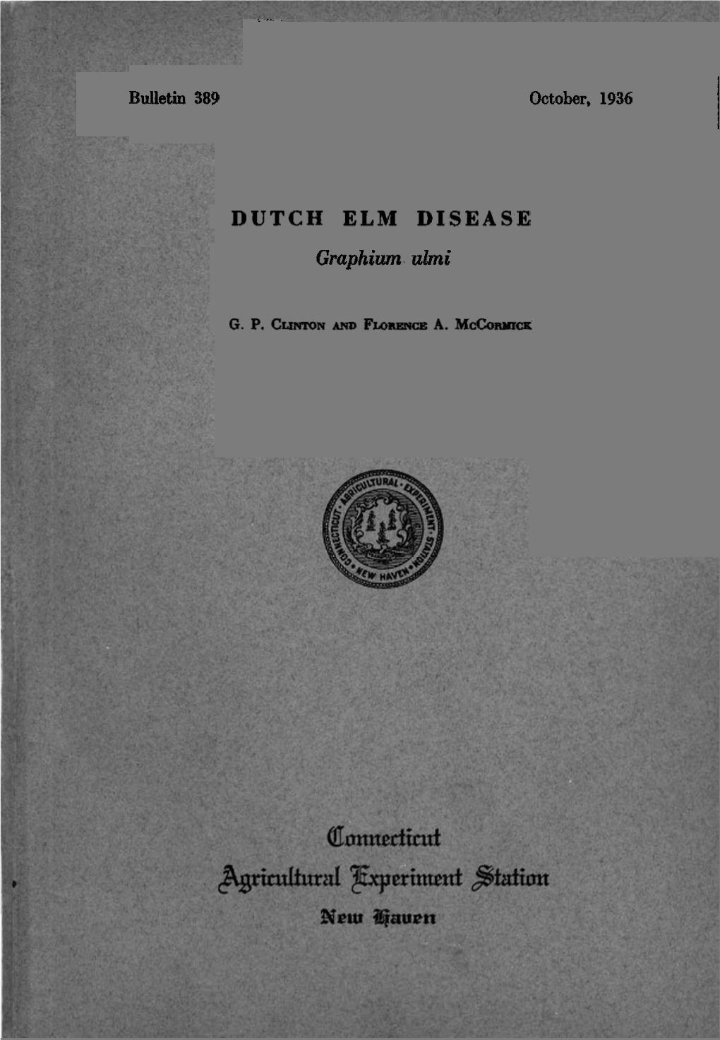 Dutch Elm Disease, Graphium Ulmi