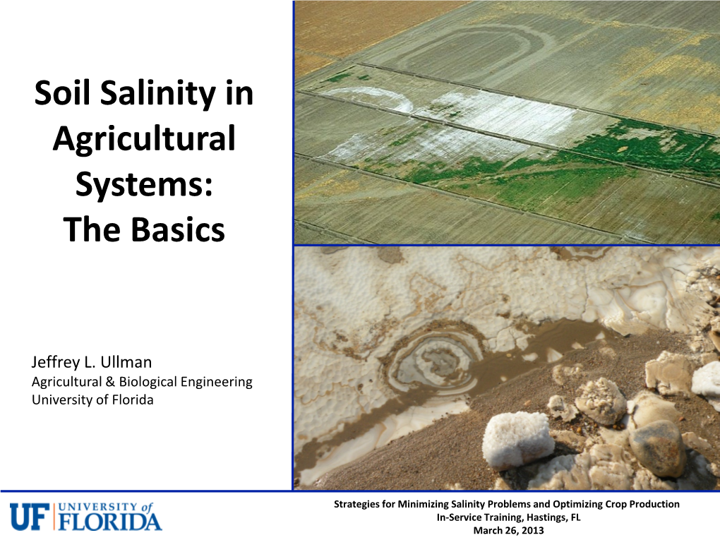 Soil Salinity in Agricultural Systems: the Basics
