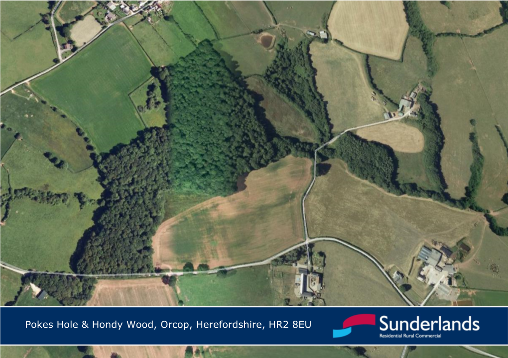 Pokes Hole & Hondy Wood, Orcop, Herefordshire, HR2