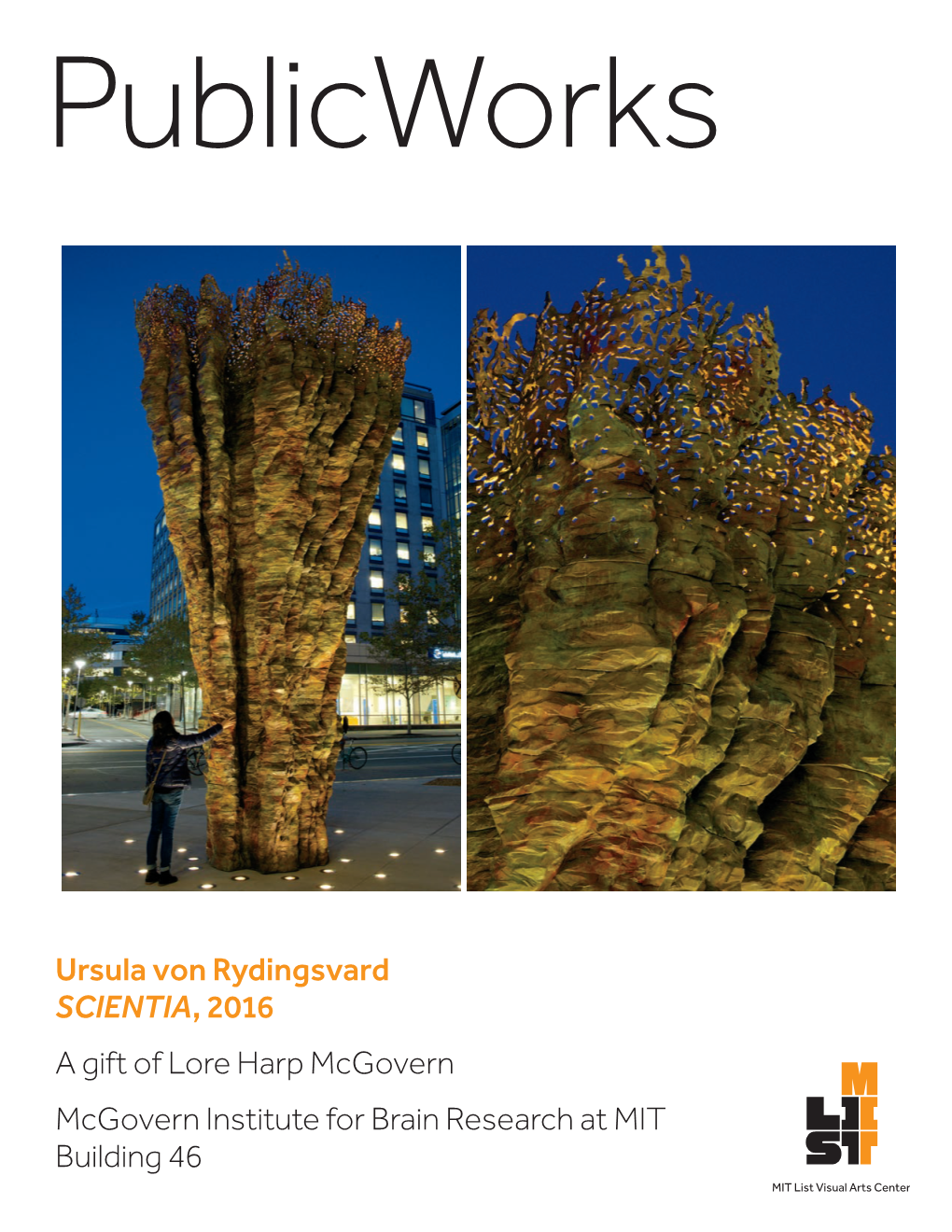 Ursula Von Rydingsvard's SCIENTIA