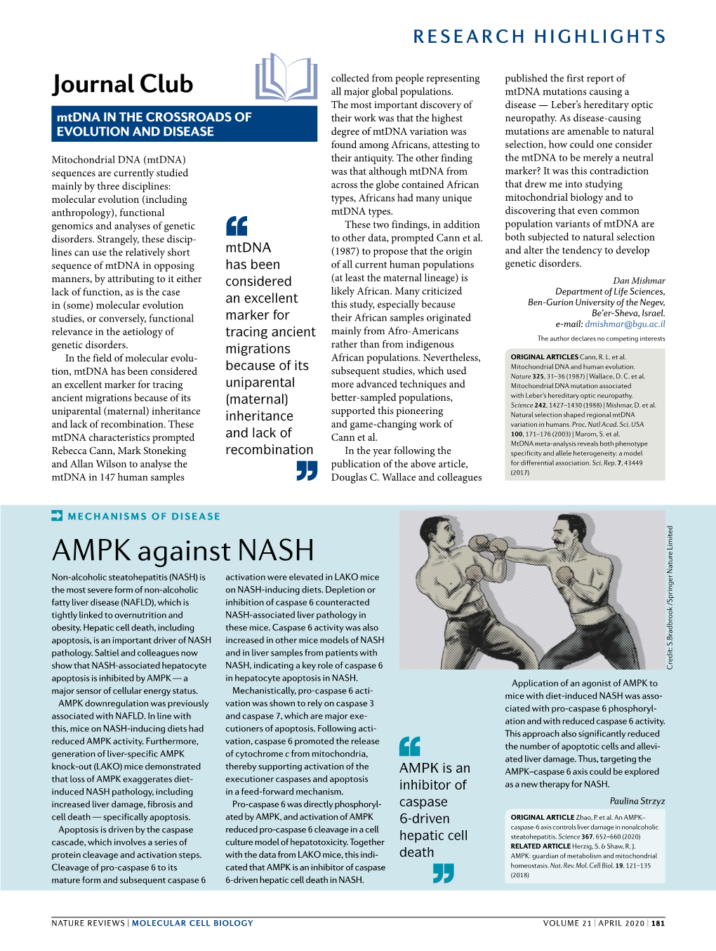 AMPK Against NASH Non-Alcoholic Steatohepatitis (NASH) Is Activation Were Elevated in LAKO Mice the Most Severe Form of Non-Alcoholic on NASH-Inducing Diets