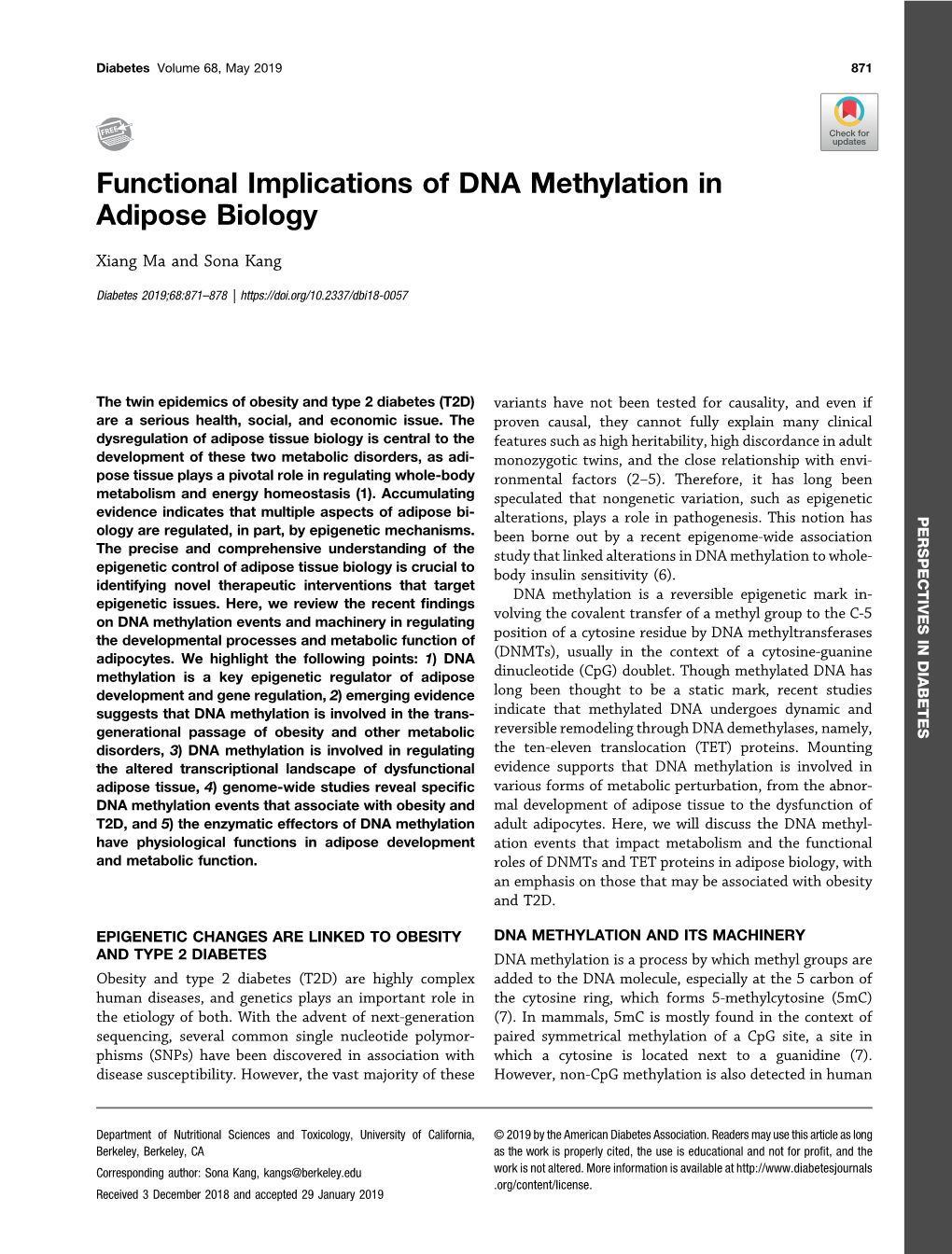 Functional Implications of DNA Methylation in Adipose Biology