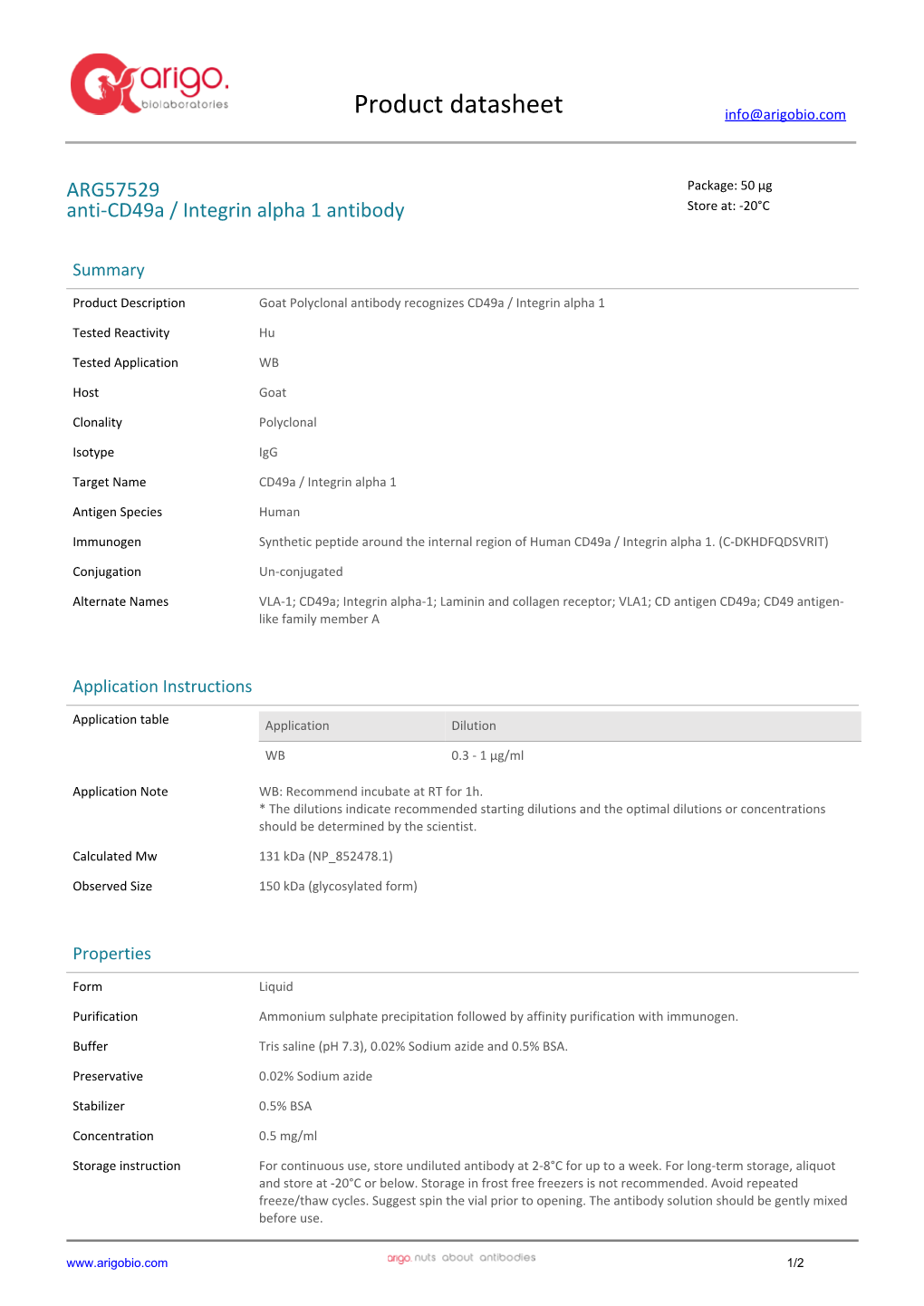 Anti-Cd49a / Integrin Alpha 1 Antibody (ARG57529)