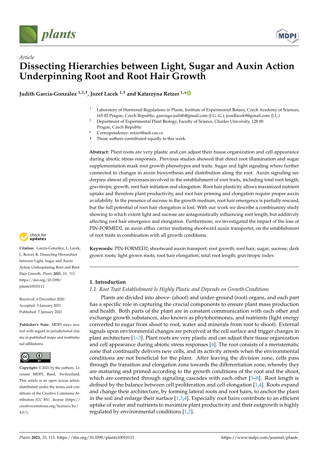 Dissecting Hierarchies Between Light, Sugar and Auxin Action Underpinning Root and Root Hair Growth