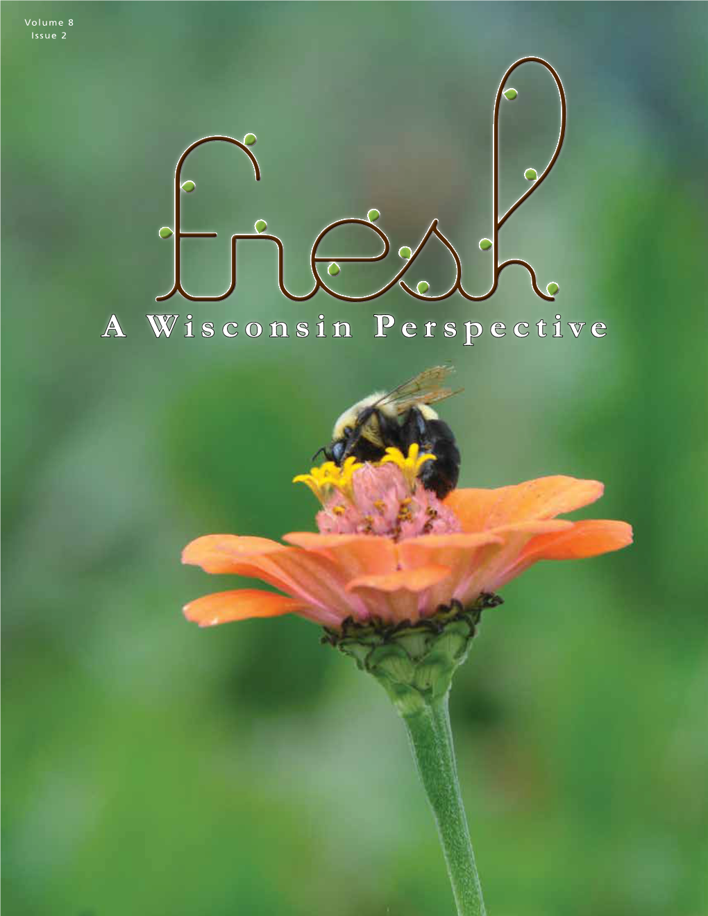 A Wisconsin Perspective Participating Organizations