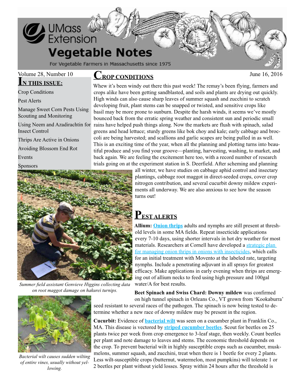 June 16, 2016 Vegetable Notes