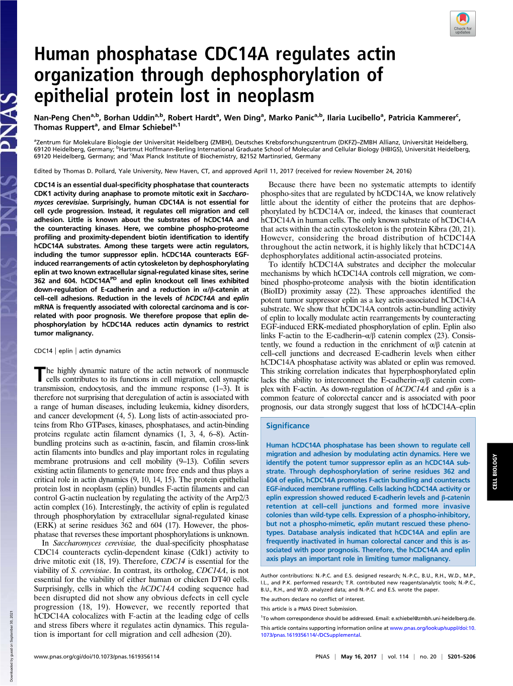 Human Phosphatase CDC14A Regulates Actin Organization Through Dephosphorylation of Epithelial Protein Lost in Neoplasm
