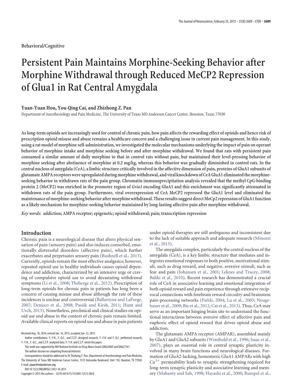 Persistent Pain Maintains Morphine-Seeking Behavior After Morphine Withdrawal Through Reduced Mecp2 Repression of Glua1 in Rat Central Amygdala