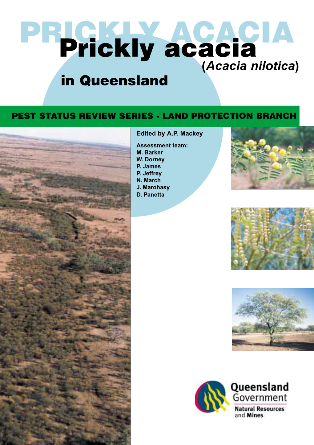 Prickly Acacia in Queensland Is Generally Accepted to Be Acacia Nilotica Subspecies Indica