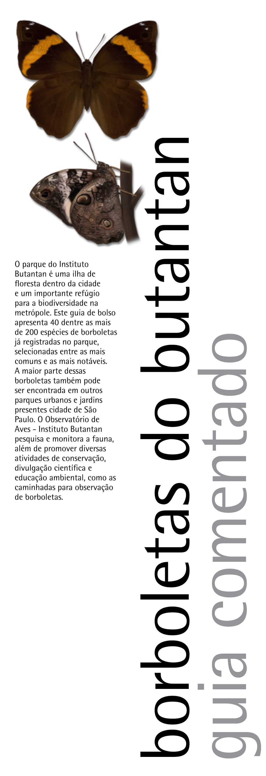 O Parque Do Instituto Butantan É Uma Ilha De Floresta Dentro Da Cidade E Um Importante Refúgio Para a Biodiversidade Na Metrópole