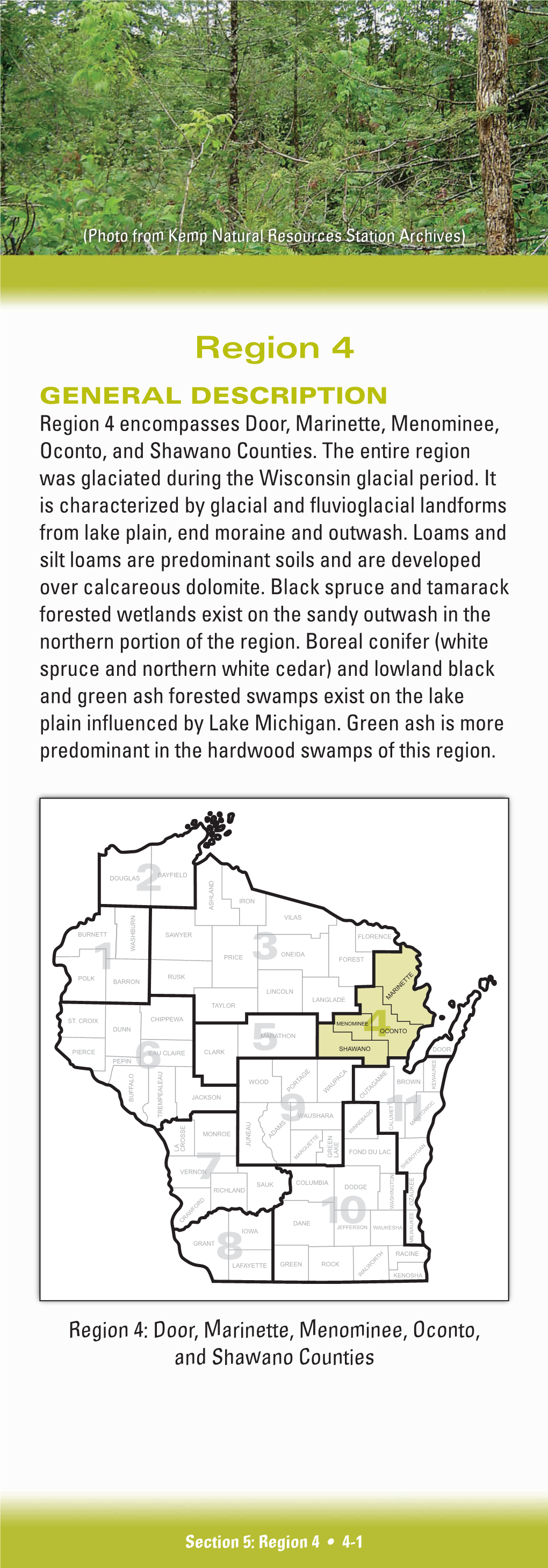 Wetland Forest Habitat Type Classification System for Northern