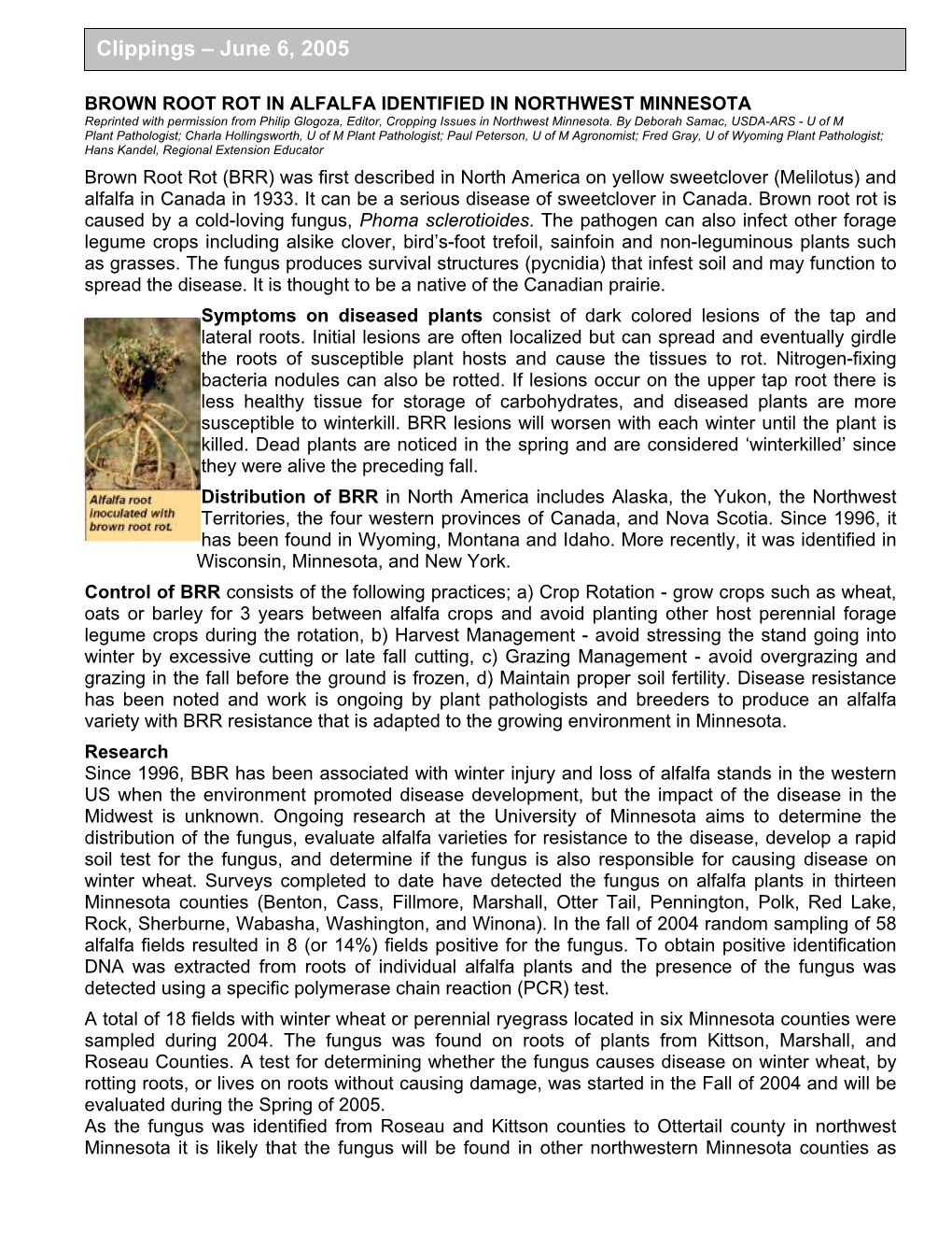 BROWN ROOT ROT in ALFALFA IDENTIFIED in NORTHWEST MINNESOTA Reprinted with Permission from Philip Glogoza, Editor, Cropping Issues in Northwest Minnesota